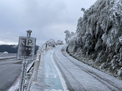 太平山國家森林遊樂區  一片霧淞雪白美景5